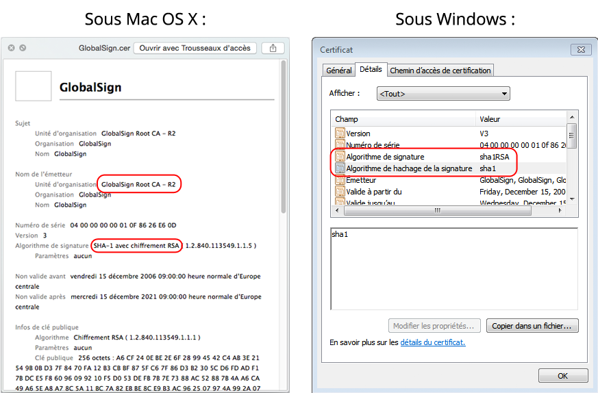 La racine ci-dessus est émise en SHA-1 (GlobalSign Root CA - R2) et devra être remplacée.