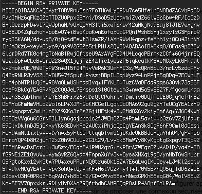 Exemple d'une clé privée (RSA 2048 Bits)